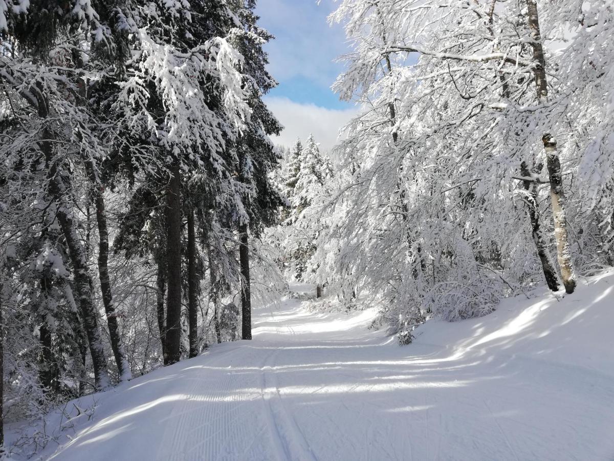 Ferme Des Deux Freres, Autrans, Vercors Kültér fotó