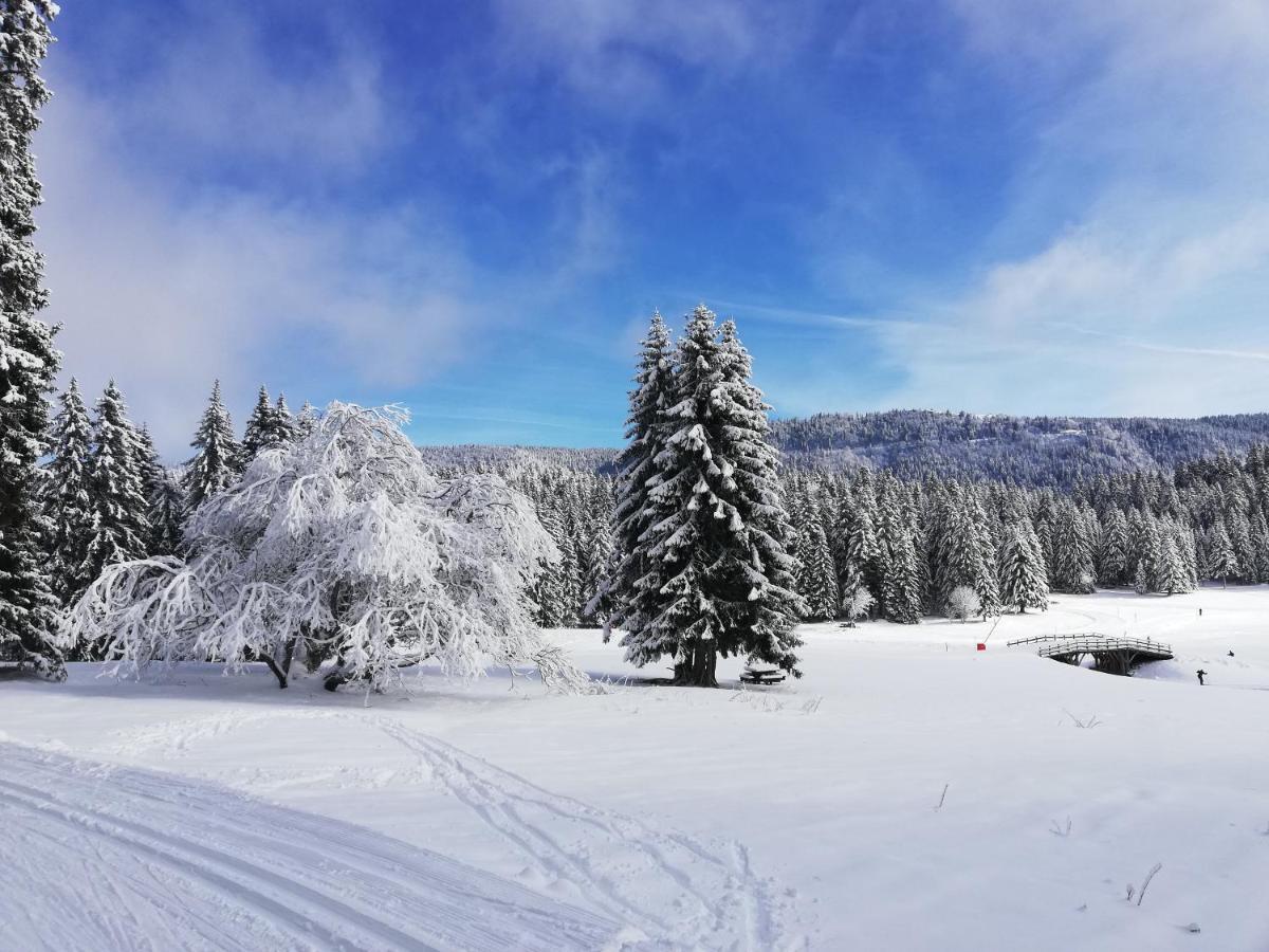 Ferme Des Deux Freres, Autrans, Vercors Kültér fotó