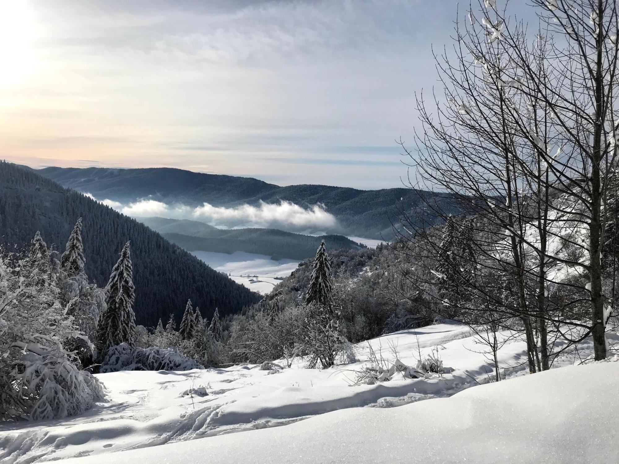 Ferme Des Deux Freres, Autrans, Vercors Kültér fotó