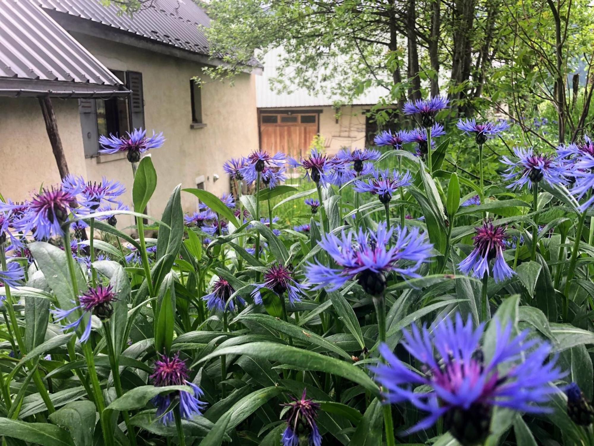 Ferme Des Deux Freres, Autrans, Vercors Kültér fotó